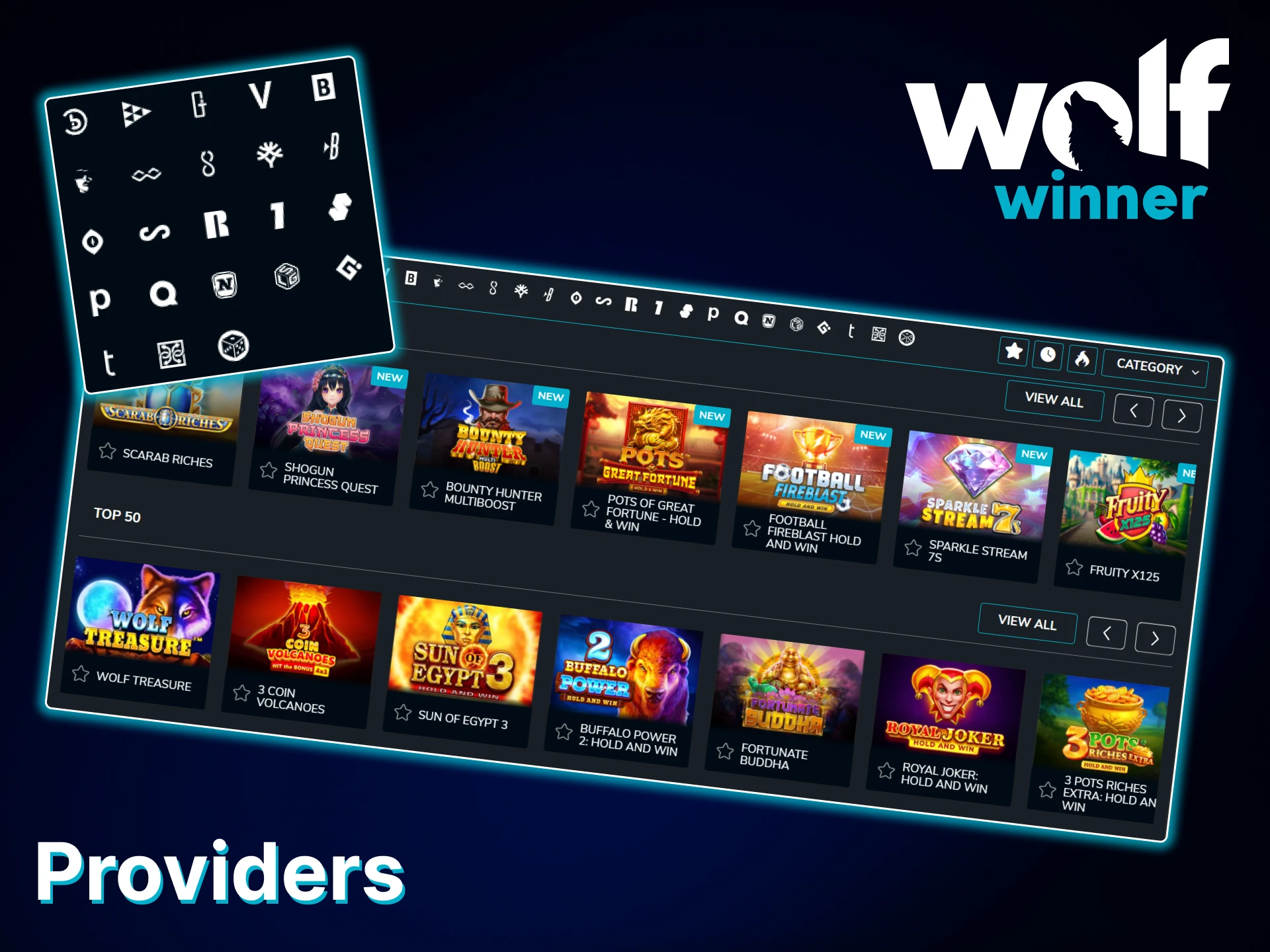 Check out the list of popular software providers featured on Wolf Winner.