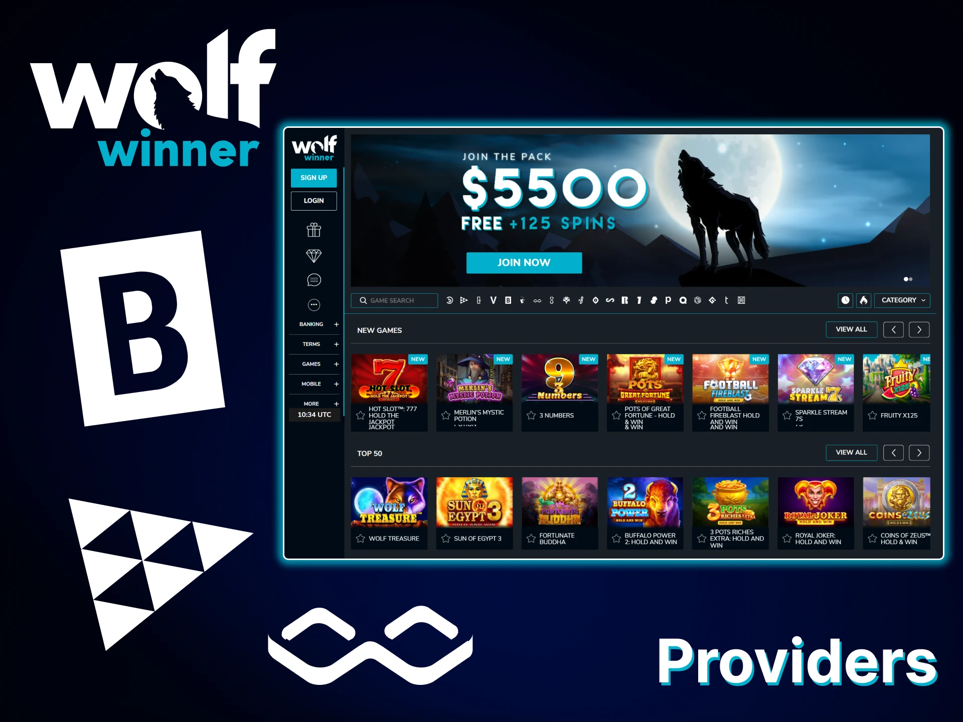 Play games from different providers at Wolf Winner.